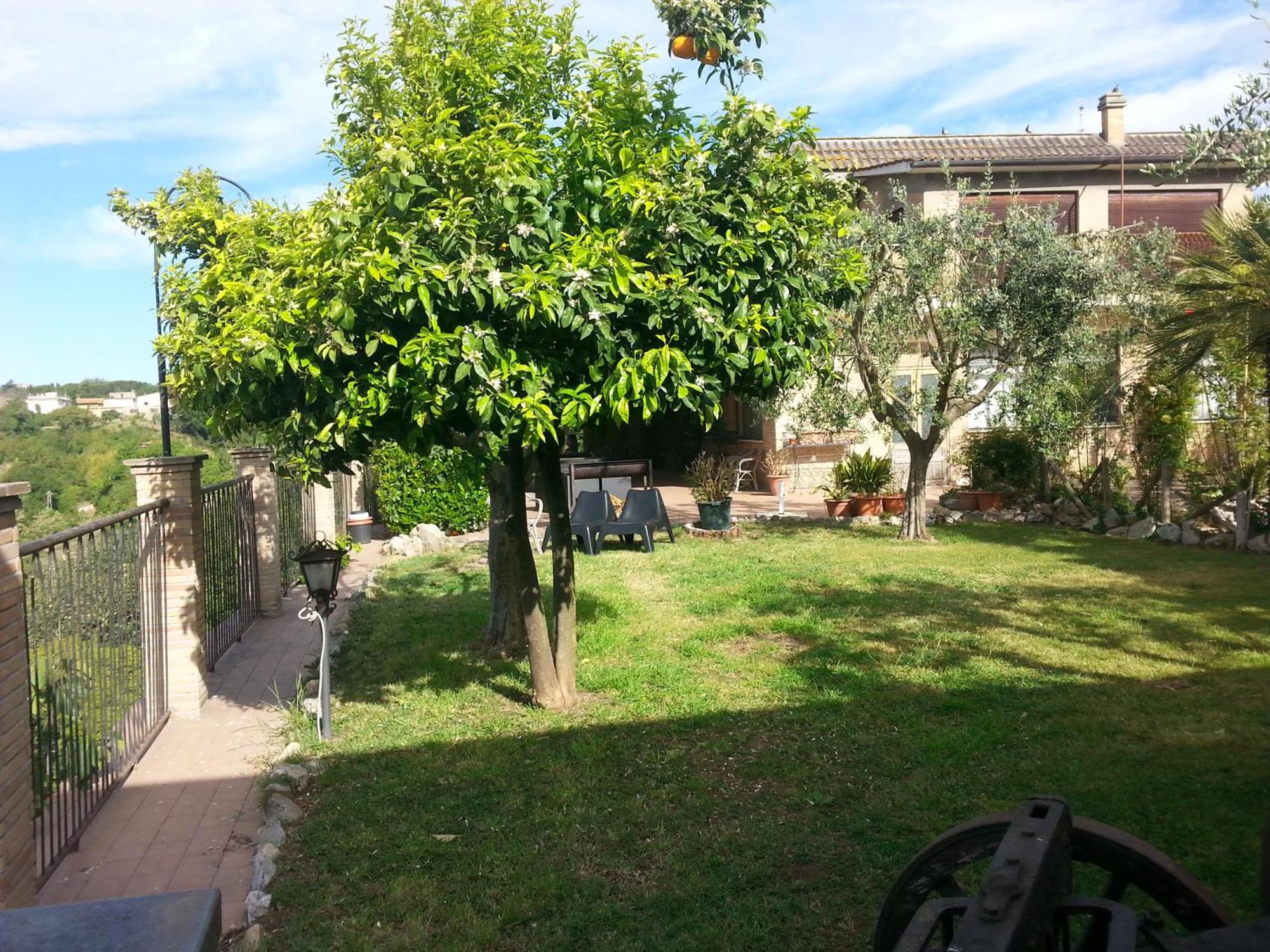 Hotel Tempio Di Apollo — Foto 3